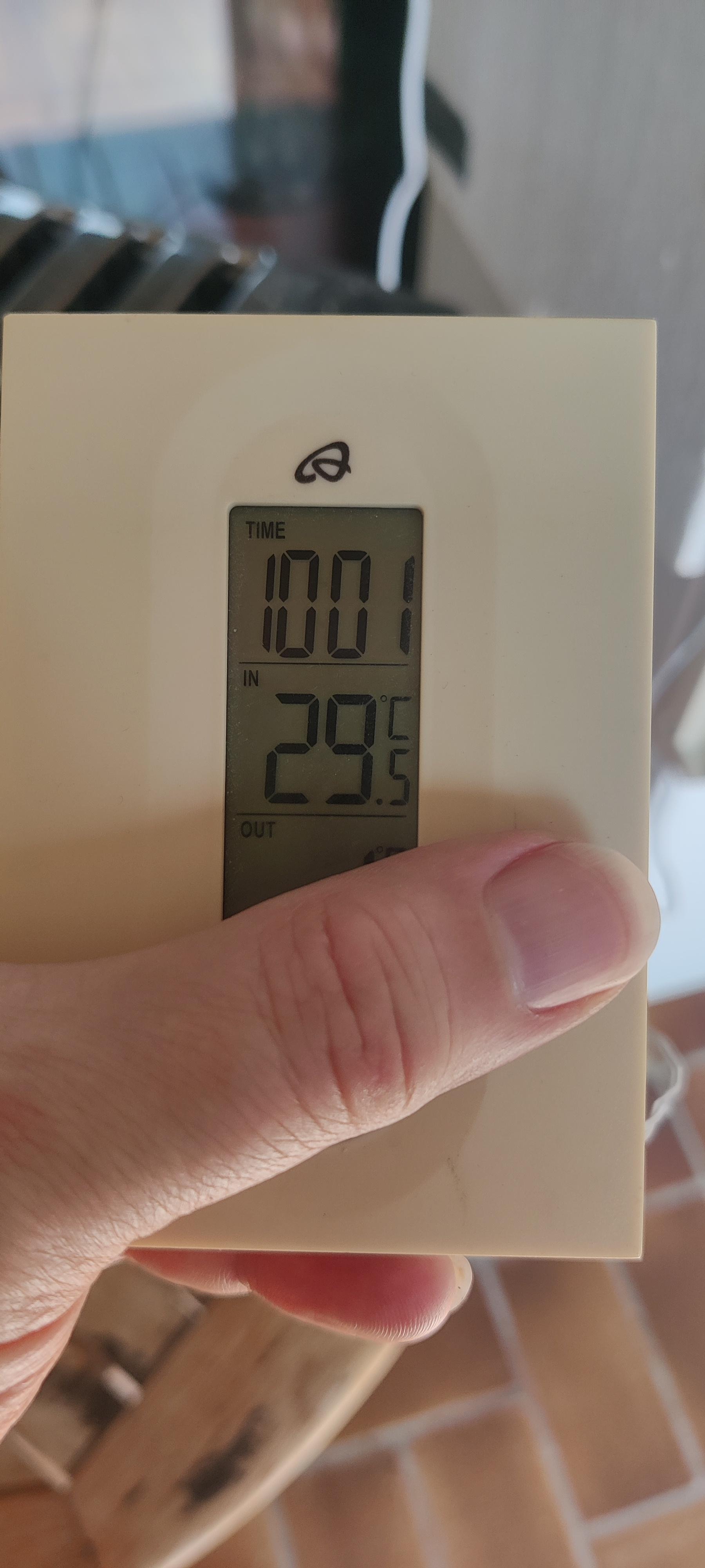 Thermometer: 10.00 Uhr, 29.5°C